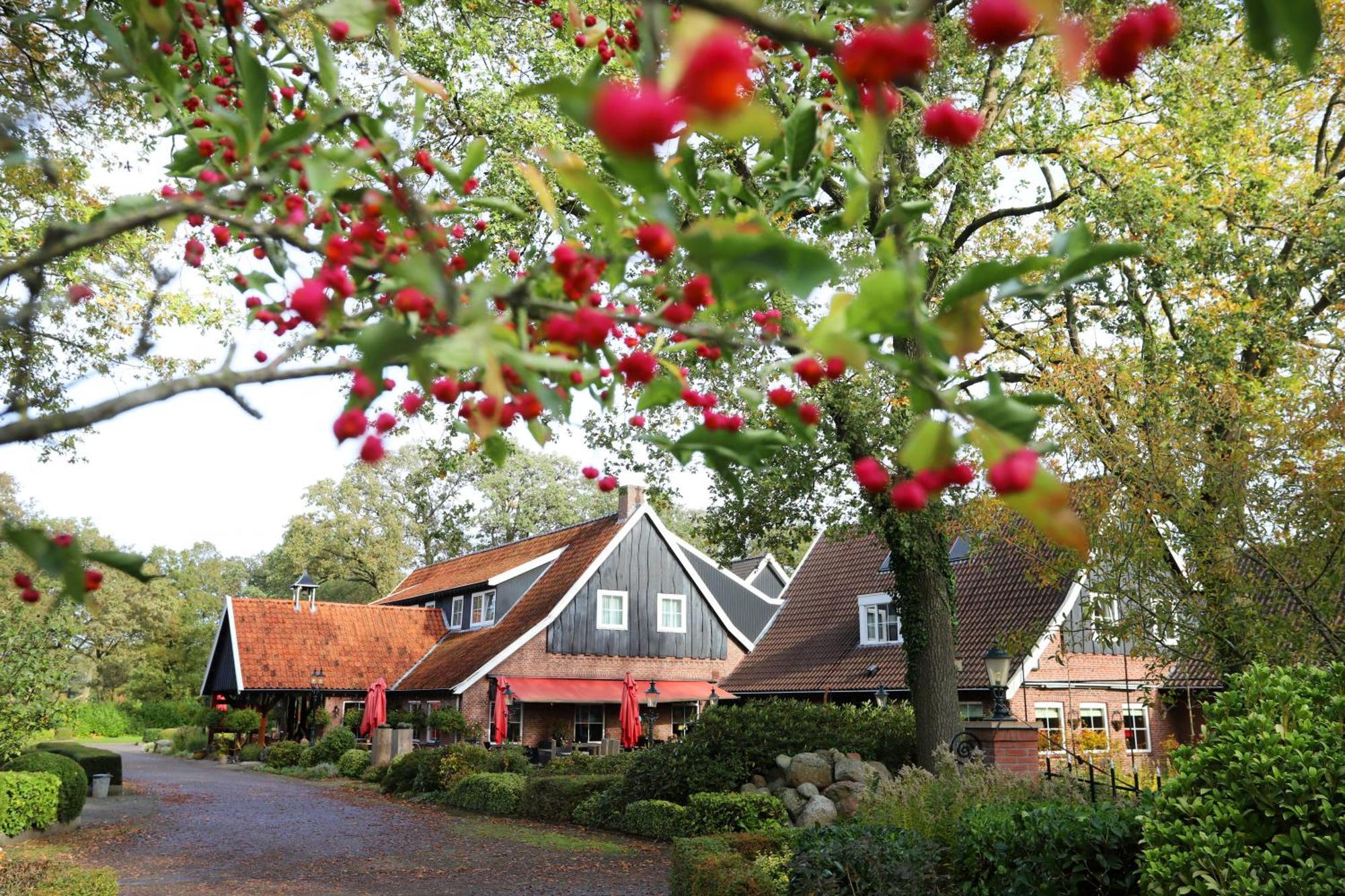 Het Ros Van Twente De Lutte Esterno foto